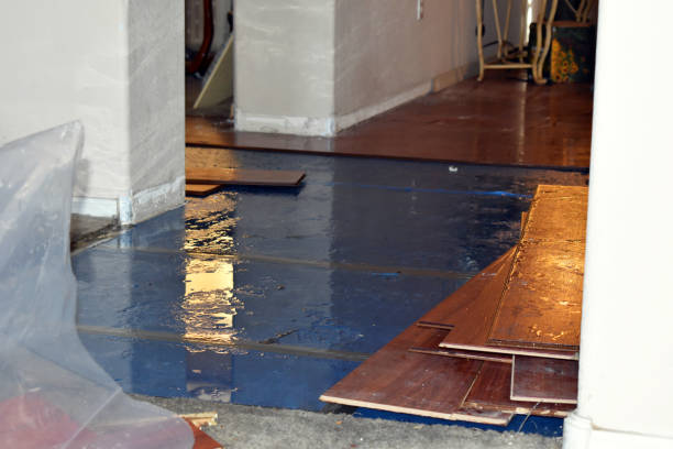 Professional Emergency Water Damage Restoration technician working in Fife Lake, MI